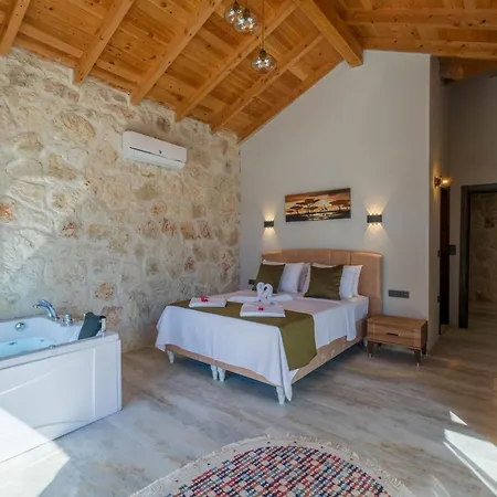 Βίλα Mugla Stone Daylight 2