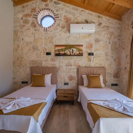 Villa Mugla Stone Daylight 2 *