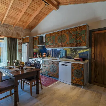 Villa Mugla Stone Daylight 2 *